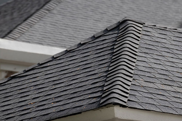 7 Essential Tips for Maintaining Your Roof in Langley