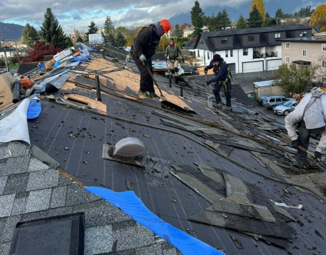 Roof repair services